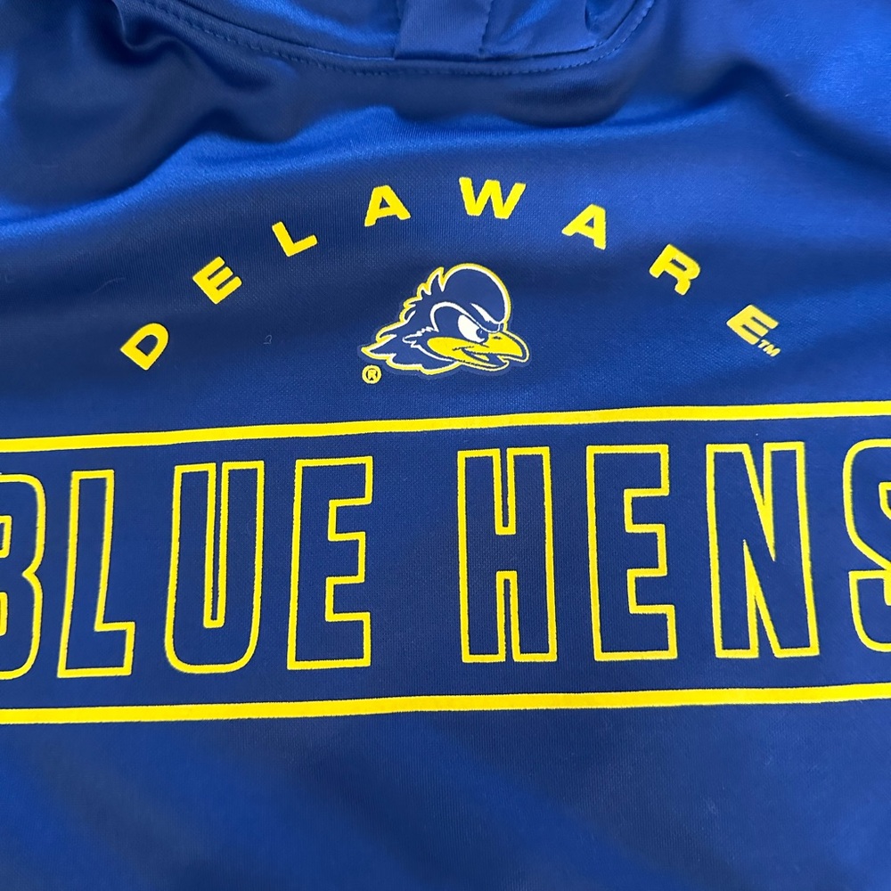 University of Delaware Youth Medium hoodie - Picture 3 of 5